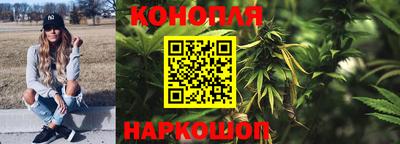 стафф Новокубанск