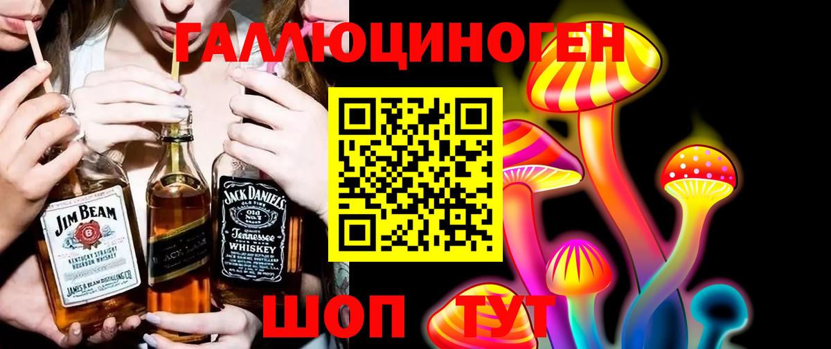 Сургут  Псилоцибиновые грибы Psilocybine cubensis  Вход с VPN  Псилоцибиновые грибы MAGIC MUSHROOMS 